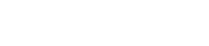 Skylinedrone